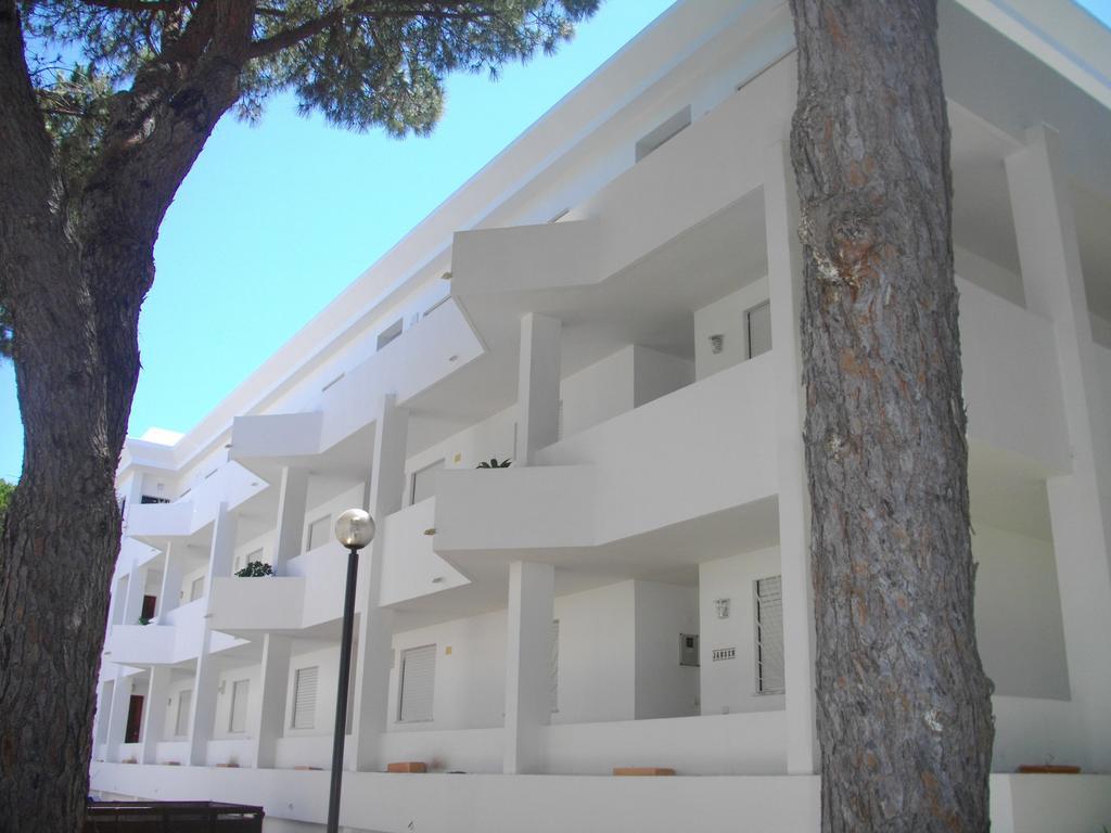 Beach Falesia Albufeira Cameră foto